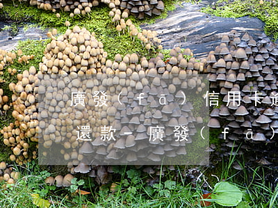 廣發(fā)信用卡逾期2個月要求一次性還款-廣發(fā)信用卡逾期2個月要求一次性還款還要給違約金