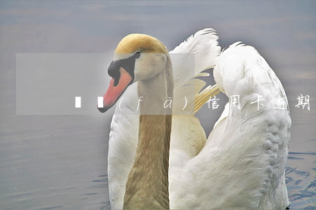 廣發(fā)信用卡逾期2萬會不會上門