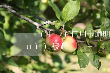廣發(fā)信用卡逾期3000塊會(huì)被起訴嗎-廣發(fā)信用卡逾期3000塊會(huì)被起訴嗎知乎