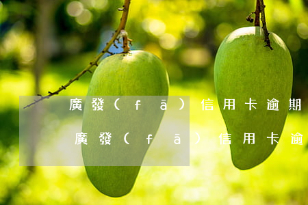 廣發(fā)信用卡逾期32天會怎么樣-廣發(fā)信用卡逾期32天會怎么樣嗎