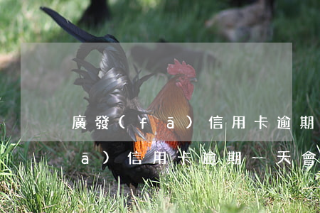 廣發(fā)信用卡逾期3500(廣發(fā)信用卡逾期一天會上征信報告嗎)