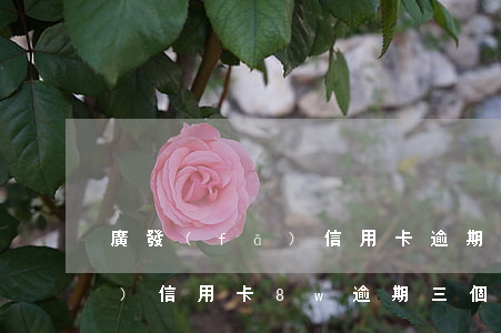 廣發(fā)信用卡逾期36天(廣發(fā)信用卡8w逾期三個月)