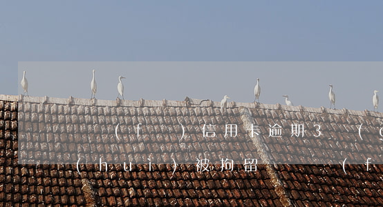 廣發(fā)信用卡逾期3個(gè)月會(huì)被拘留嗎(廣發(fā)卡信用卡逾期3天)