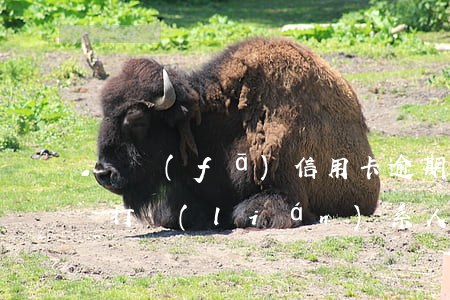 廣發(fā)信用卡逾期3千會(huì)打聯(lián)系人嗎-廣發(fā)信用卡逾期3千會(huì)打聯(lián)系人嗎是真的嗎