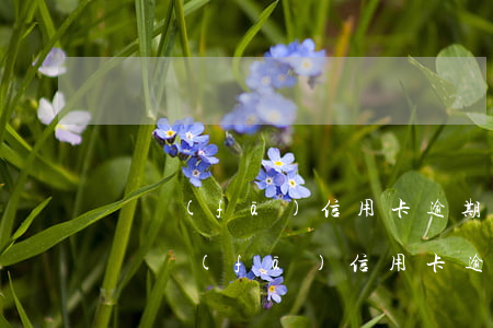 廣發(fā)信用卡逾期3天可最低還款嗎(廣發(fā)信用卡逾期3天可最低還款嗎怎么還)