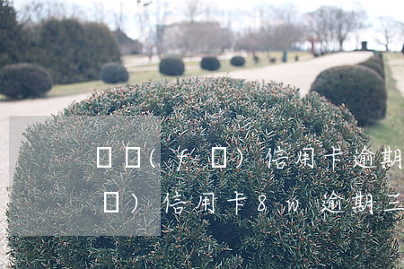 廣發(fā)信用卡逾期3萬坐牢(廣發(fā)信用卡8w逾期三個(gè)月)