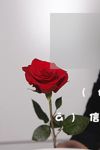 廣發(fā)信用卡逾期4000(廣發(fā)信用卡逾期4000多一個(gè)多月怎么辦)