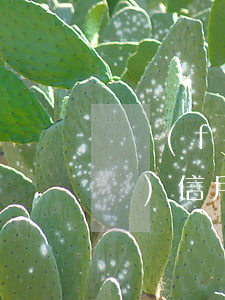 廣發(fā)信用卡逾期4000(廣發(fā)信用卡逾期幾天會(huì)上個(gè)人征信)