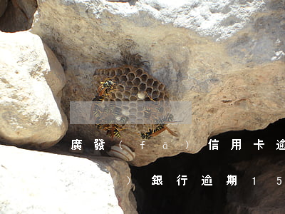 廣發(fā)信用卡逾期45天還清(廣發(fā)銀行逾期15天還款對信用有影響嗎)