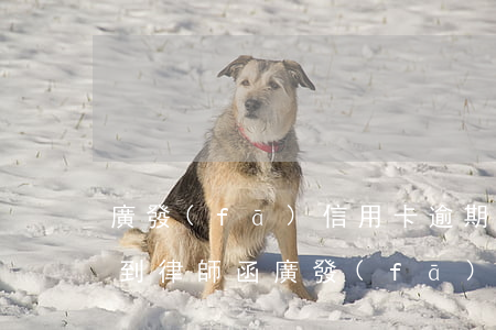 廣發(fā)信用卡逾期4個(gè)月收到律師函(廣發(fā)卡信用卡逾期3天)