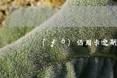 廣發(fā)信用卡逾期4個(gè)月被