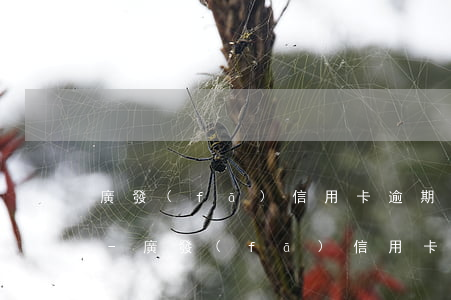 廣發(fā)信用卡逾期4個月沒還會怎樣-廣發(fā)信用卡逾期4個月沒還會怎樣處理