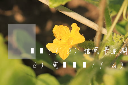 廣發(fā)信用卡逾期4個月能協(xié)商媽(廣發(fā)信用卡3000逾期3個月了 銀行說要起訴)
