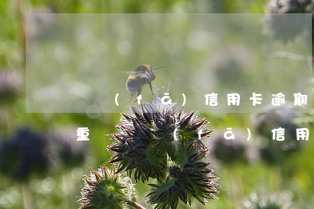廣發(fā)信用卡逾期5天嚴(yán)重嗎(廣發(fā)信用卡 逾期一天)
