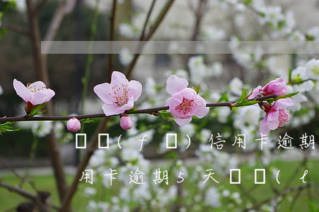 廣發(fā)信用卡逾期5 廣發(fā)信用卡逾期5天會聯(lián)系家人嗎