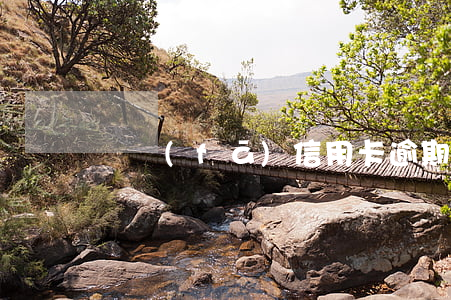 廣發(fā)信用卡逾期6
