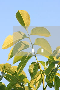 廣發(fā)信用卡逾期60天會(huì)怎樣 欠廣發(fā)銀行信用卡七萬(wàn)多,逾期三個(gè)多月,會(huì)不會(huì)被起訴
