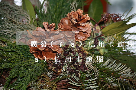 廣發(fā)信用卡逾期7個月6(廣發(fā) 信用卡 逾期)