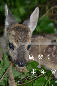 廣發(fā)信用卡逾期7萬(wàn)5半年會(huì)坐牢嗎-廣發(fā)信用卡逾期7萬(wàn)5半年會(huì)坐牢嗎知乎