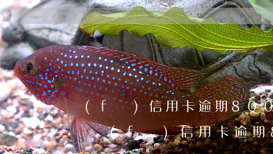 廣發(fā)信用卡逾期8000起訴銀行-廣發(fā)信用卡逾期8000起訴銀行會怎么樣
