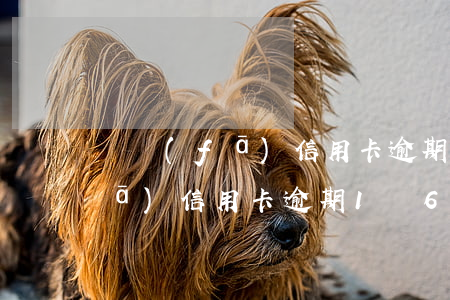 廣發(fā)信用卡逾期800多(廣發(fā)信用卡逾期1萬6,被起訴了,怎么辦)