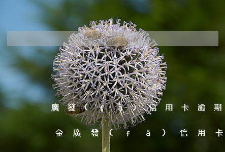廣發(fā)信用卡逾期8萬(wàn)本金(廣發(fā)信用卡逾期8天上征信嗎)