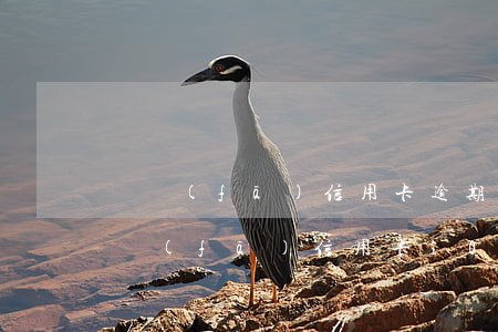 廣發(fā)信用卡逾期90天能解凍嗎 廣發(fā)信用卡10萬逾期一年