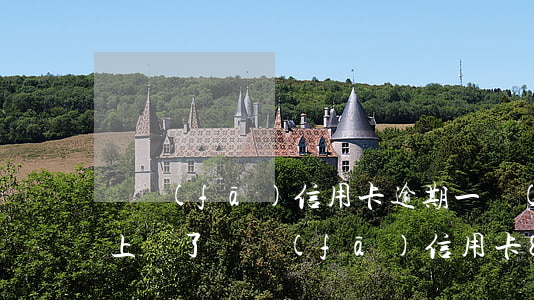 廣發(fā)信用卡逾期一個(gè)月就上訴了(廣發(fā)信用卡8w逾期三個(gè)月)