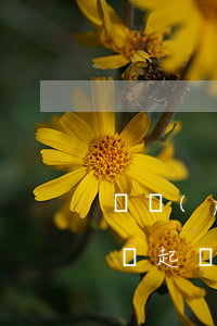 廣發(fā)信用卡逾期一個(gè)月就說起訴我(欠廣發(fā)銀行信用卡七萬多,逾期三個(gè)多月,會(huì)不會(huì)被起訴)