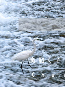 廣發(fā)信用卡逾期一個(gè)月會(huì)被鎖卡嗎-廣發(fā)信用卡逾期一個(gè)月會(huì)被鎖卡嗎怎么辦