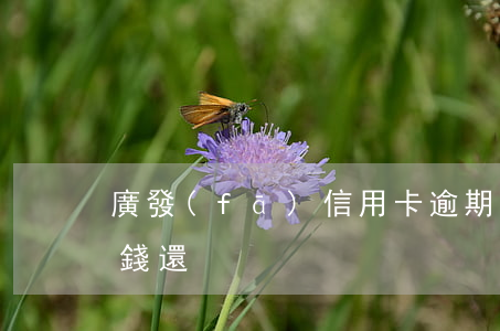 廣發(fā)信用卡逾期一個(gè)月沒錢還