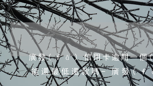 廣發(fā)信用卡逾期一個(gè)月還能還最低還款嗎-廣發(fā)逾期一個(gè)月再去還最低還能還嗎!