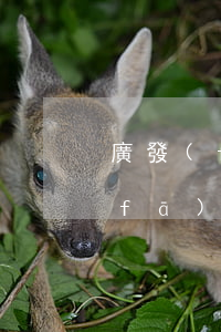 廣發(fā)信用卡逾期一天扣二十(廣發(fā)卡信用卡逾期3天)
