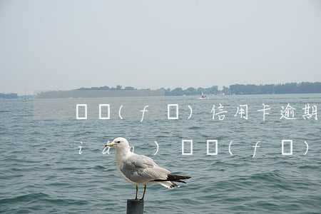 廣發(fā)信用卡逾期一天扣多少錢(qián)(廣發(fā)銀行逾期兩天扣了三百多違約金)