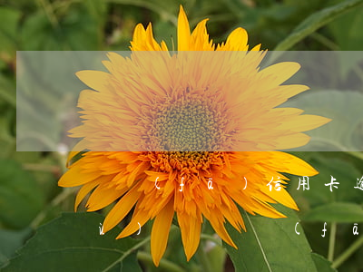 廣發(fā)信用卡逾期一天要扣手續(xù)費嗎(廣發(fā)卡逾期一天扣了違約金可以免除嗎)