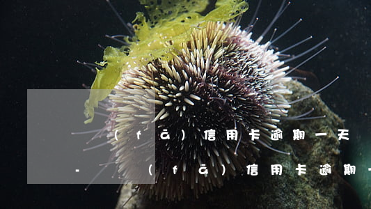 廣發(fā)信用卡逾期一天還款有影響嗎-廣發(fā)信用卡逾期一天還款有影響嗎知乎