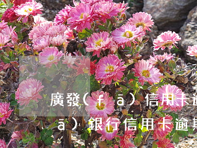 廣發(fā)信用卡逾期一天鎖卡(廣發(fā)銀行信用卡逾期20天,發(fā)信息說立案)