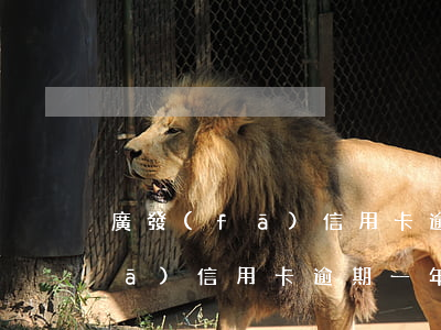 廣發(fā)信用卡逾期一年多6(廣發(fā)信用卡逾期一年多了還能用嗎)