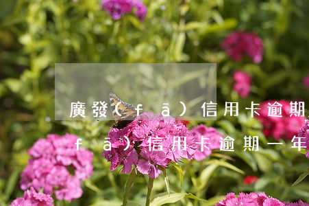 廣發(fā)信用卡逾期一年說報警(廣發(fā)信用卡逾期一年說報警)