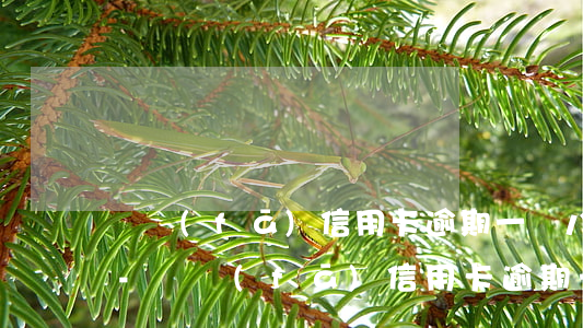 廣發(fā)信用卡逾期一萬八會被起訴嗎-廣發(fā)信用卡逾期一萬八會被起訴嗎知乎