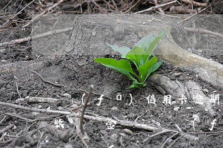 廣發(fā)信用卡逾期三天會(huì)收違約金嗎-廣發(fā)信用卡逾期三天會(huì)收違約金嗎怎么辦
