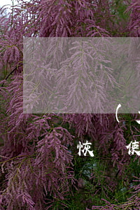 廣發(fā)信用卡逾期三天還款之后多久恢復使用-廣發(fā)信用卡逾期三天還款之后多久恢復使用額度