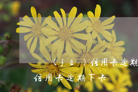 廣發(fā)信用卡逾期下卡 廣發(fā)信用卡逾期下卡