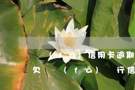 廣發(fā)信用卡逾期了2萬(wàn)(欠廣發(fā)銀行信用卡七萬(wàn)多,逾期三個(gè)多月,會(huì)不會(huì)被起訴)