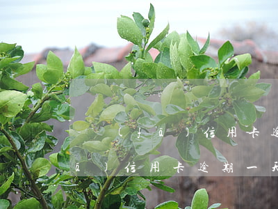 廣發(fā)信用卡逾期了三天-廣發(fā)信用卡 逾期一天