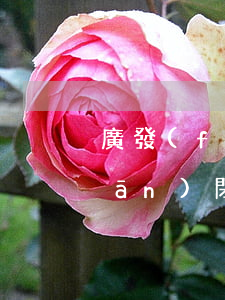 廣發(fā)信用卡逾期二十條被關(guān)閉還款