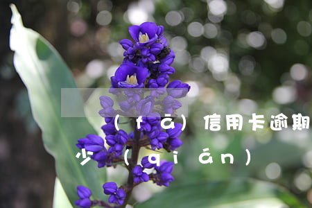廣發(fā)信用卡逾期五個(gè)月多少錢(qián)(廣發(fā)銀行逾期3個(gè)月欠款5000會(huì)上門(mén)嗎)