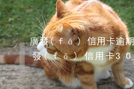 廣發(fā)信用卡逾期以后多久起訴-廣發(fā)信用卡3000逾期3個月了 銀行說要起訴