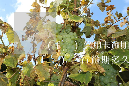 廣發(fā)信用卡逾期以后還能用么(廣發(fā)銀行逾期多久后會影響其他信用卡)