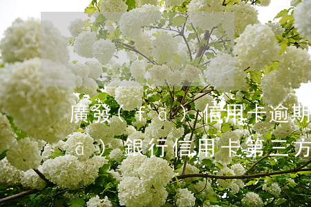 廣發(fā)信用卡逾期催收上門(廣發(fā)銀行信用卡第三方上門催收騷擾家人)